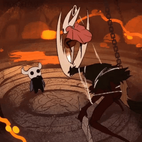 The Hollow Knight Watching Hornet GIF