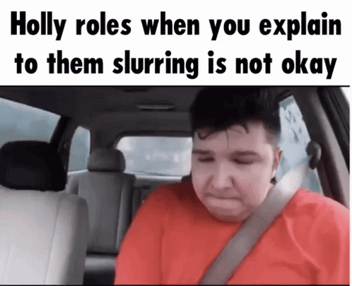 Holly Slurring Is Not Okay Meme