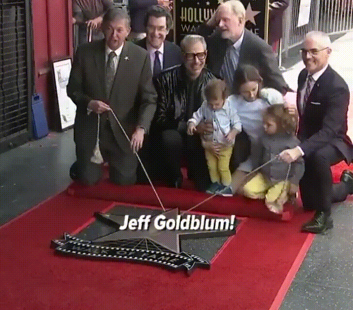 Hollywood Walk Of Fame Jeff Goldblum GIF