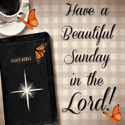 Holy Bible with Butterflies and Sunday in the Lord