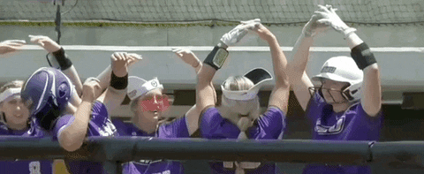 Holy Cross Athletics Mizzou GIF