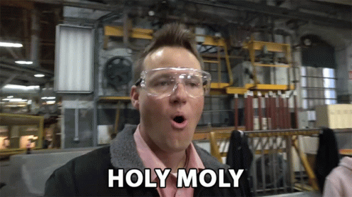Holy Moly Amazing Wow GIF