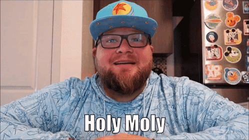 Holy Moly Guy Reaction Meme GIF