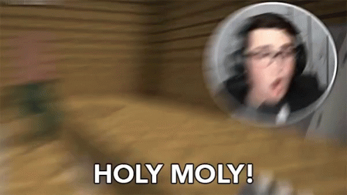 Holy Moly Minecraft Stream GIF