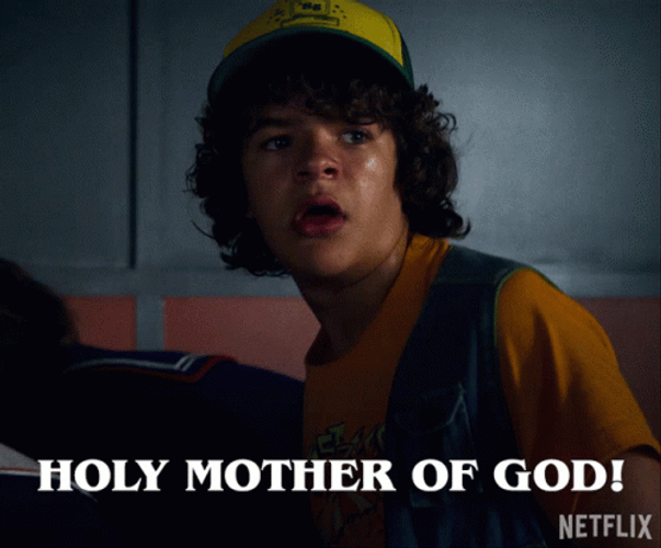Holy Mother Of God Dustin Henderson Stranger Things GIF