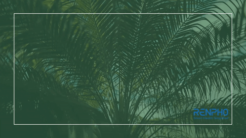 Holy Saturday May Easter Brings Joy GIF