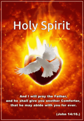 Holy Spirit Poster With Dove and Burning Heart