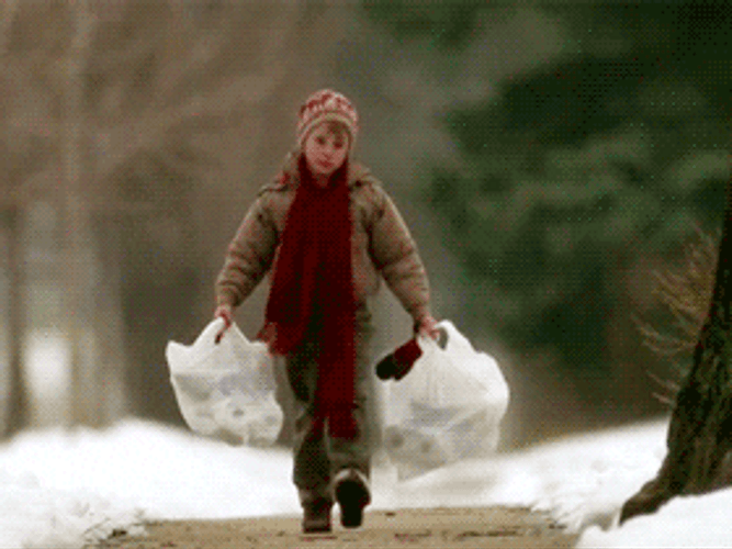 Home Alone Kevin's Groceries Fell GIF