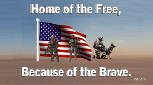 Home of the Free Because of the Brave Poster