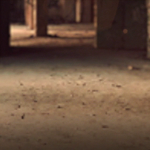 Homelander Landing Meme GIF