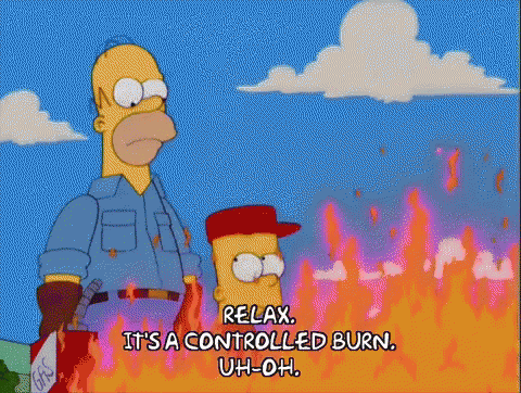 Homer and Bart Simpson Before Burning Field