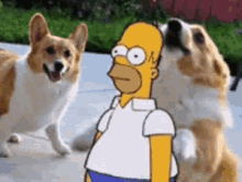 Homer Bush Simpson Hides With A Dog GIF