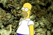 Homer Bush Simpson Hiding On The Rocks GIF