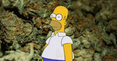 Homer Bushes Disappearing In Rocks Meme GIF