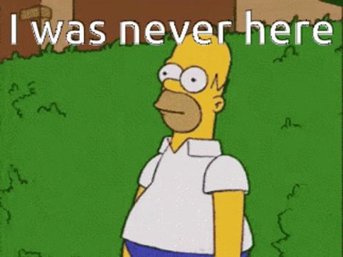 Homer Disappearing I Was Never Here GIF