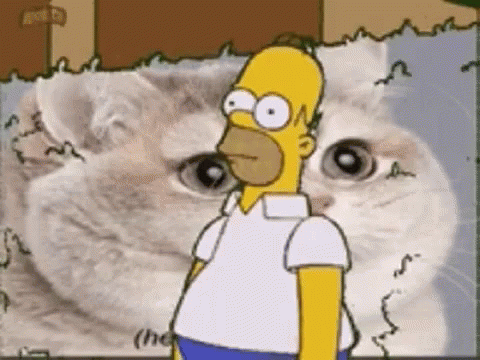 Homer Disappearing On White Cat GIF