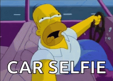 Homer Doh Car Selfie GIF
