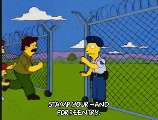 Homer Simpson Border Police Reentry GIF