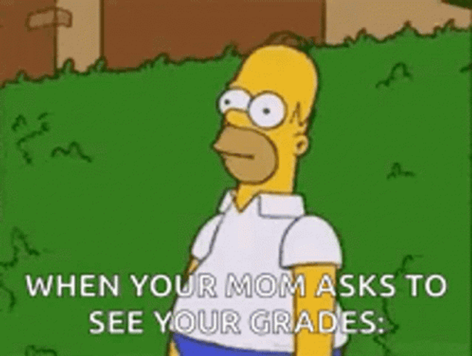Homer Simpson Bush GIF