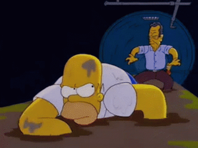 Homer Simpson Bush GIF