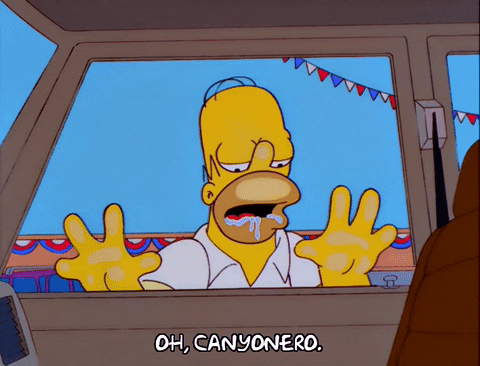 Homer Simpson Drooling Episode 15 GIF