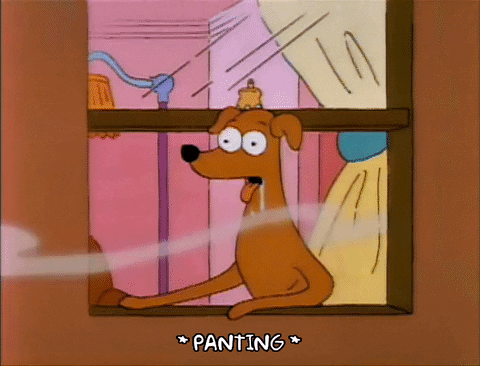 Homer Simpson Drooling Happy Season 3 GIF