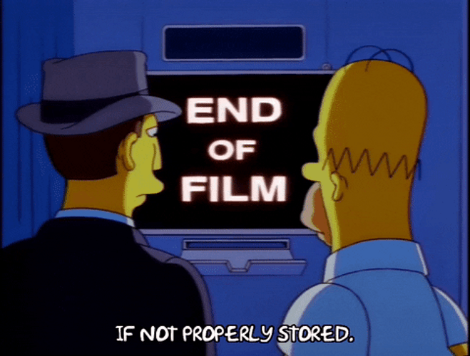 Homer Simpson End Of Film GIF
