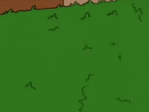 Homer Simpson From The Simpsons Is Holding A Frisbee In His Hand In The Grass . GIF