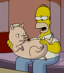 Homer Simpson Holding Pig with Toothbrush on Head