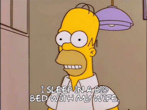 Homer Simpson I Sleep In A Big Bed With My Wife GIF