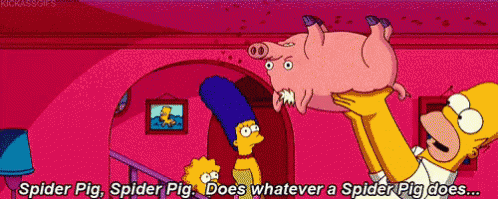Homer Simpson Is Holding A Pig In His Arms And Says Spider Pig Spider Pig Does Whatever Spider Pig Does GIF
