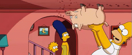 Homer Simpson Is Holding A Pig In His Arms GIF