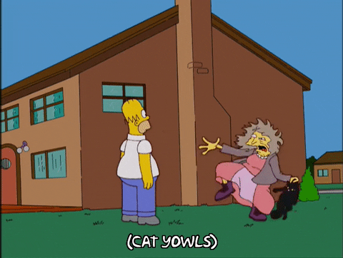 Homer Simpson Looking At Cat Lady Throwing Pet GIF