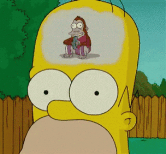 Homer Simpson Monkey Brain GIF
