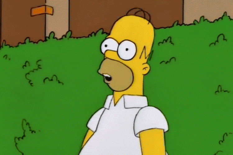 Homer Simpson Painfully Ackward Reaction GIF