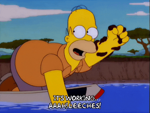 Homer Simpson River Leeches GIF