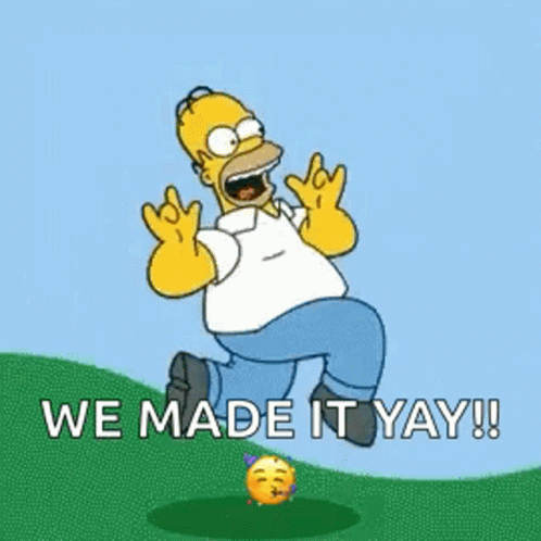 Homer Simpson Running Down Hill We Made It Yay