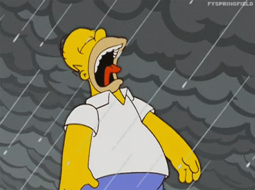 Homer Simpson Screaming In Rain GIF
