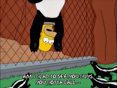 Homer Simpson Sprayed By Skunk GIF