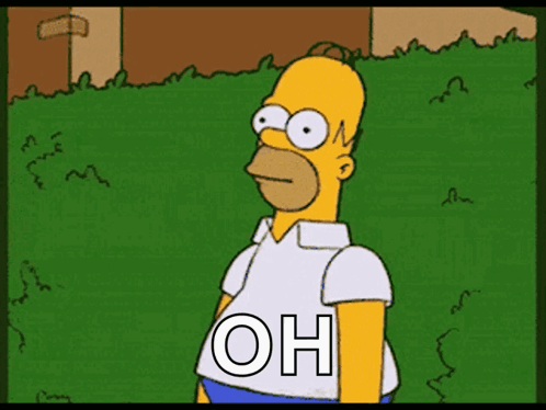 Homer Simpson Standing in Grass with Oh Shirt