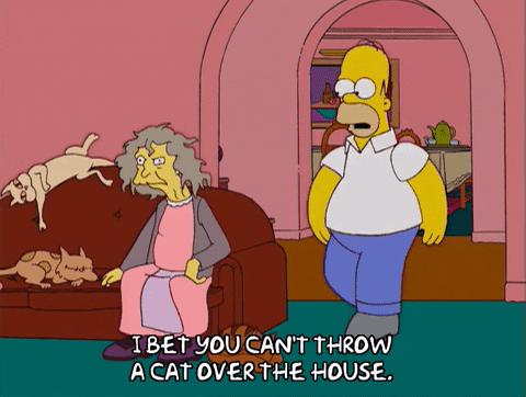 Homer Simpson Talking To Cat Lady GIF