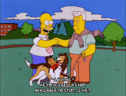 Homer Simpson With Stud Dog GIF