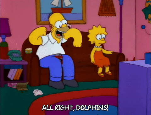 Homer Woohoo Cheering The Dolphins With Lisa GIF