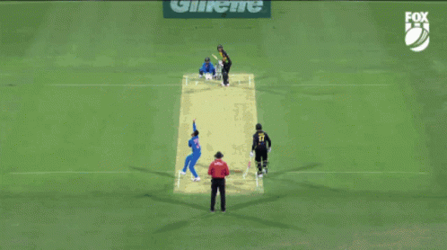 Homerun Score By Glenn Maxwell GIF