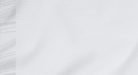 Honduras Goal Logo GIF