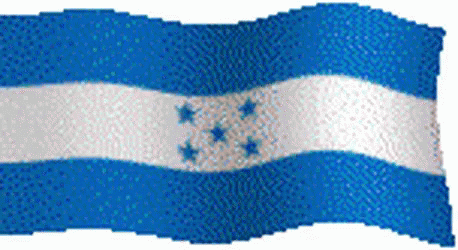 Honduras Rough Flag GIF