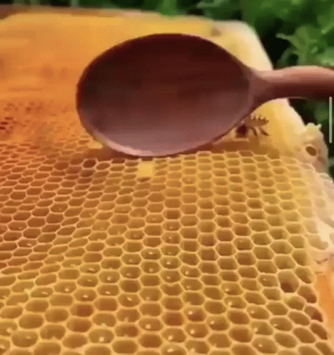 Honey Getting Scooped By A Wooden Spoon GIF