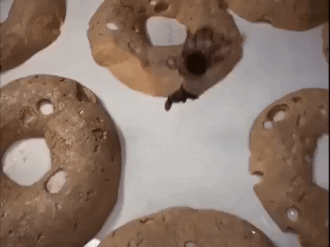 Honey I Shrunk The Kids Milk Gif By Mangoteeth GIF