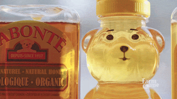 Honey On A Different Jar Shapes GIF