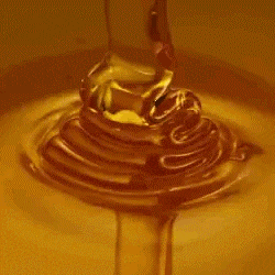 Honey Sweet Gif GIF